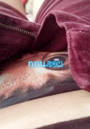 สนใจรับแมวไปเลี้ยงมั้ยคะ