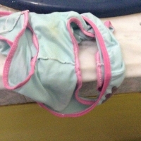 ของหลานสาวอวบเย็ดมัน