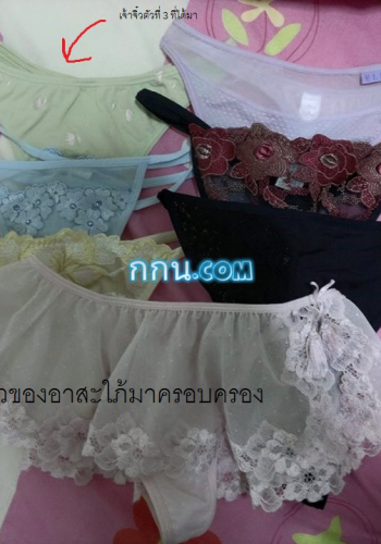 รีวิวสมบัติจากสมาชิกใหม่ (ภาคเสริมพิเศษ)