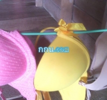 แอบถ่ายข้างบ้านมา