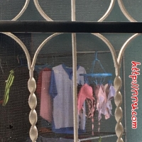 [ดม กกน] เอาเลยดีไหมยังไงดี [3 รูป]