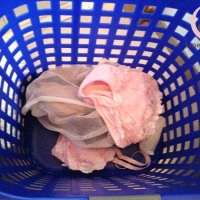 ล้วงจากตระกร้า [4 รูป]