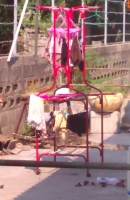หลังบ้าน