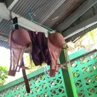 [ดม กกน] มานั่งรอลูกค้า