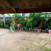 [ดม กกน] แวะมาบ้านลูกค้า เจอของดี